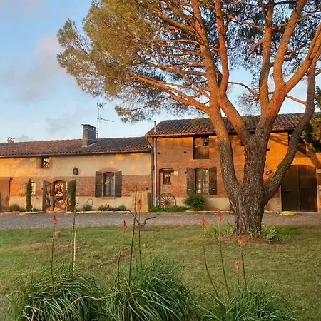 Montillet 펜션 Belbeze-de-Lauragais